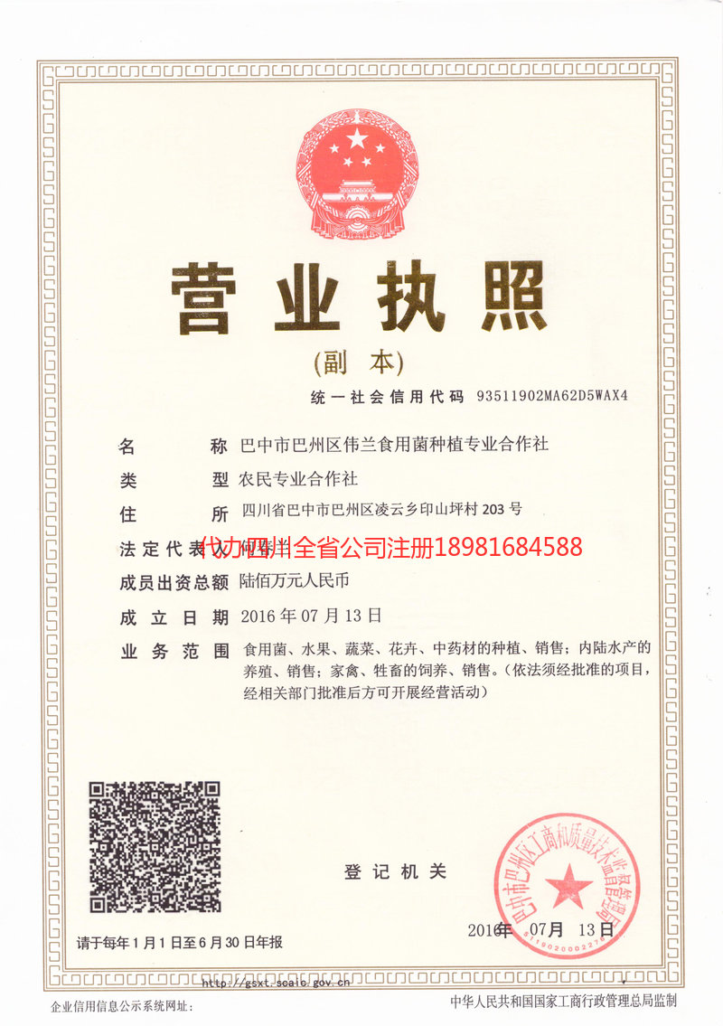 临沧临沧伟兰食用菌种植专业合作社